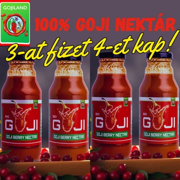 4 db 100%-os GOJI Gyümölcslé, BIO Nektár 300 ml